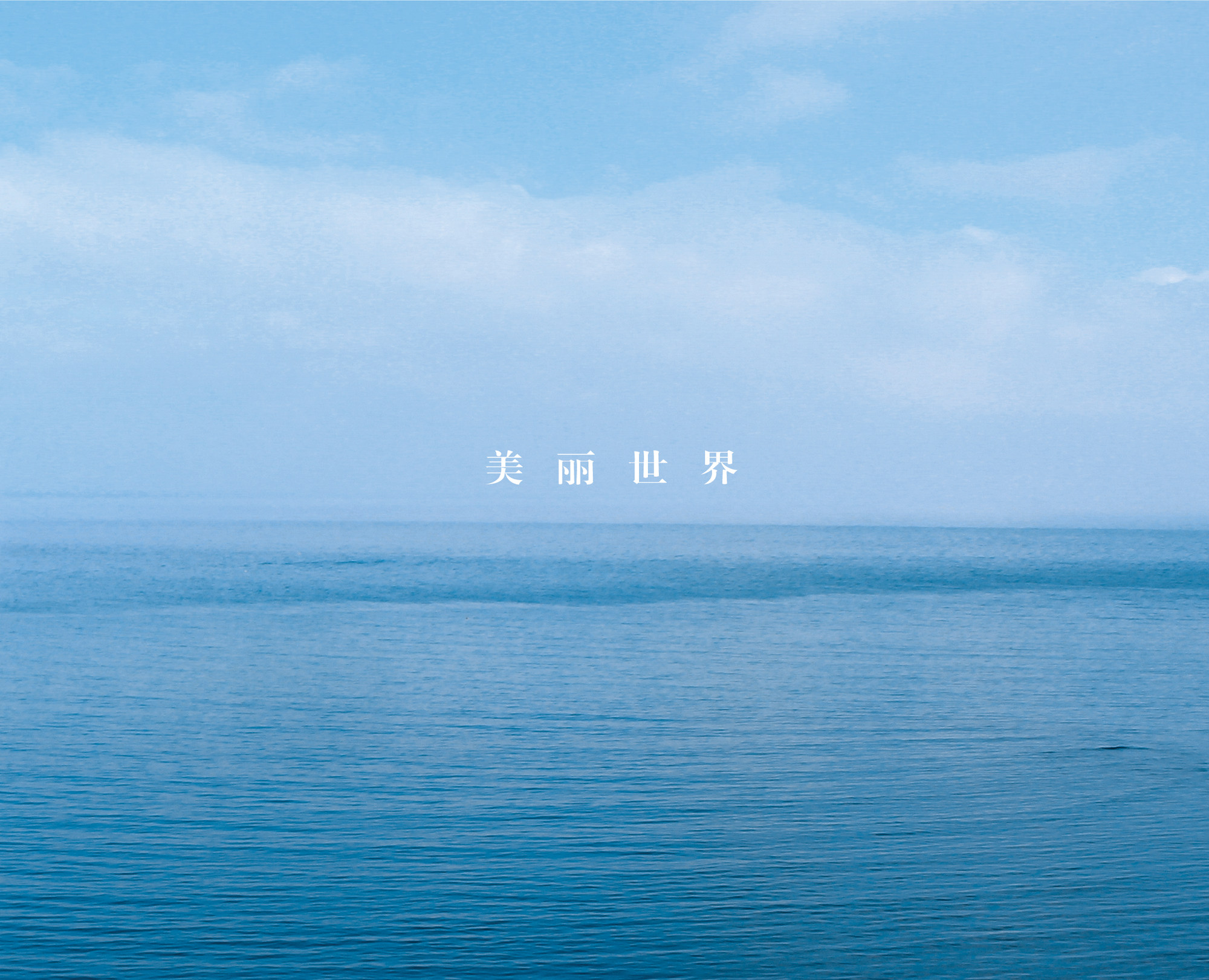 Zhao Chenlong (Dragon X) new album 