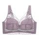 204# Taro Purple