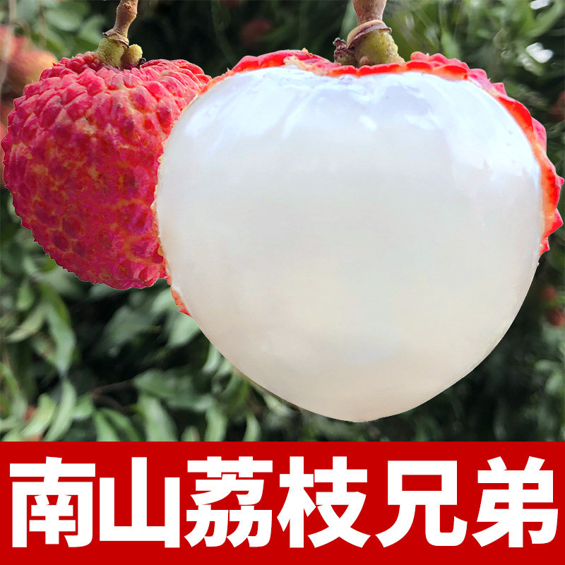 南山荔枝兄弟的LOGO