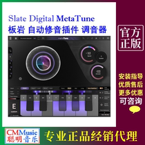 Slate Digital MetaTune genuine Slate automatic repairable plug-in tuner Post-mix
