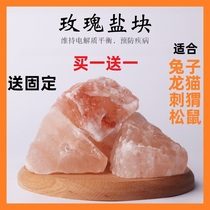 Rabbit Dragon Cat Dutch Pig Squirrel Hamster Salt Brick Complementary Minerals Salt Block Multiple elements lick salt to treat heterosis