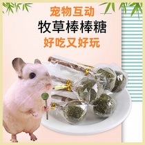 Rabbit Dragon Cat Dutch Pig Pasture Grassy Tooth Grass Bat Candy Zero Food Pet Nutrition Apple Branch Grinding Tooth Stick
