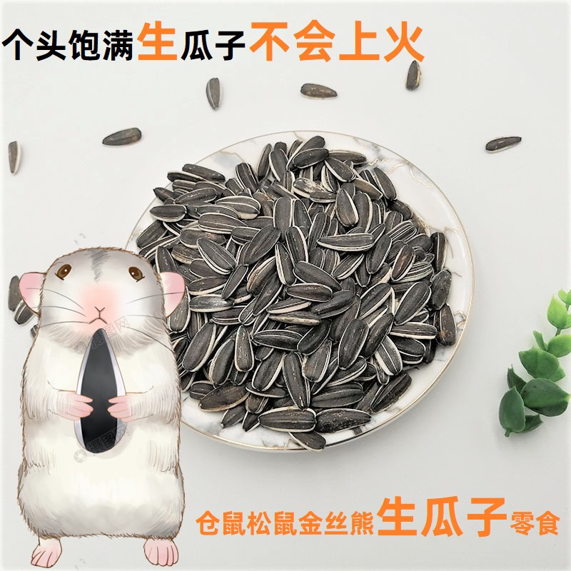 Harden Gold Bear Squirrel Merkle Snack Harden Nutritional Feed Grain Grinding Teeth Gloughn Seeds