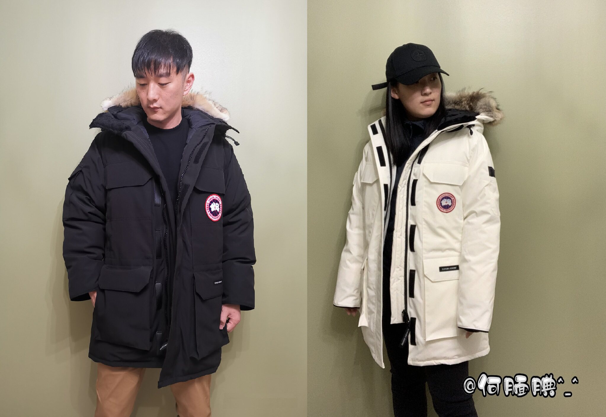 canada goose for man