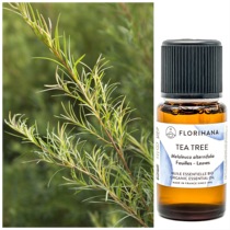 15g Tea Tree Essential Oil HuaHuaFlorial Fu Family Florihana F Family