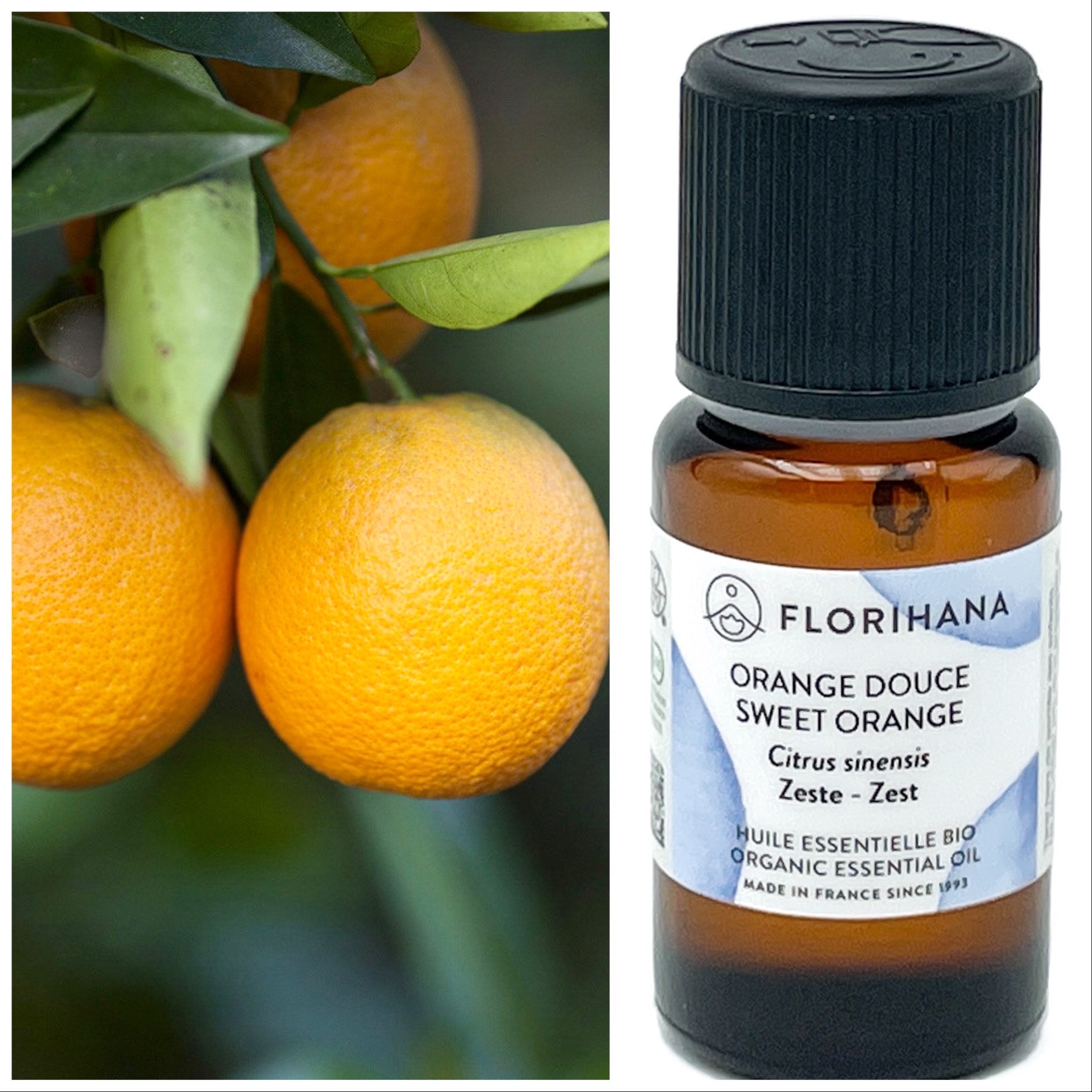 15g Sweet Orange Essential Oil Florihana HuaHuaFlorial