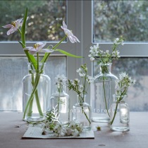 Dry flower wind ins Transparent glass medicine bottle Reagent bottle Hydroponic plants Hydroponic flowers bouquet Home decoration small vase