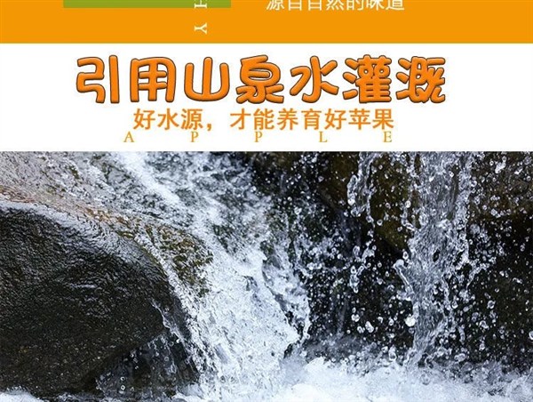 新疆阿克苏冰糖心苹果当季水果新鲜