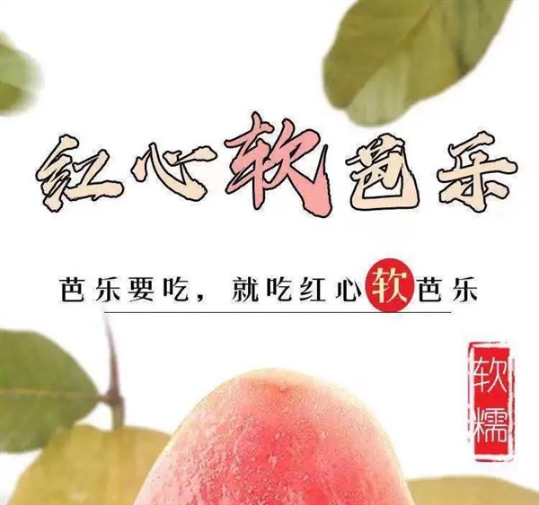 广西红心芭乐 新鲜软心番石榴软糯鸡屎果