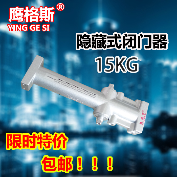 Eagle Gus door closer hidden buffer hydraulic door closer hotel hotel special concealed hidden door closer