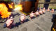 Steam Genuine Version | Palworld Phantom Beast Palu China Region Key Activation Code Chinese Online Game