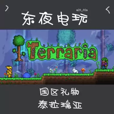 Steam正版 Terraria 泰拉瑞亞國區禮物多人聯機