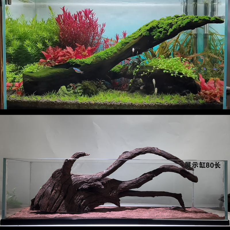 Forest-Style Driftwood for 80-150 Liter Tanks, Selected Driftwood Tree Stumps and Floating Branches for Aquarium Landscaping, Hiding and Climbing Decorations for Snake Turtles and Crabs Forest-Style Driftwood for 80-150 Liter Tanks, Selected Driftwood Tree Stumps and Floating Branches for Aquarium Landscaping, Hiding and Climbing Decorations for Snake Turtles and Crabs