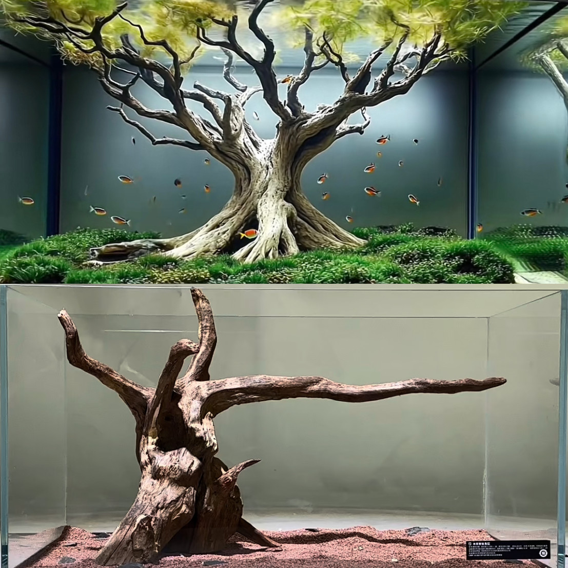 🌿打造梦幻水族世界,森系40-90小米鱼缸造景沉木,让你心动😍-造景-淘宝好物网