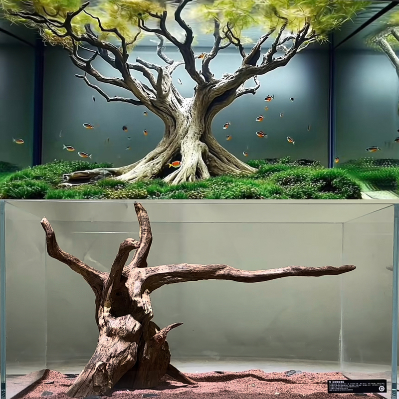 Forest-Style 40-90 cm Aquarium Landscaping Driftwood, South American Multi-Branch Side-Floating Tree Stump, Lizard Climbing Bird Stand Ornament