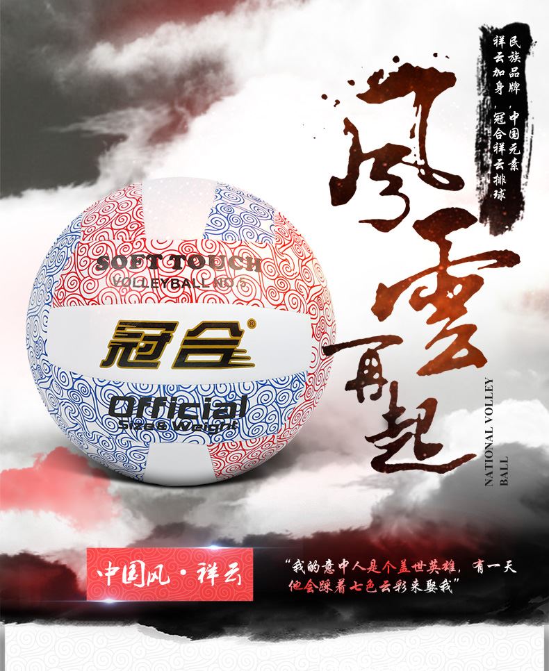 Ballon de volley - Ref 2013289 Image 5