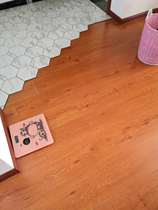 Holy Elephant Tuileries Garden GT5183 modern light luxury new Chinese style European style Nordic post-modern