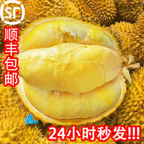 (顺丰)泰国进口新鲜金枕头榴莲整个带壳应季水果10斤精品果