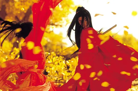 英雄2002剧照1