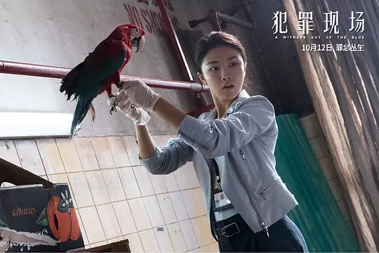 犯罪现场 犯罪現場2019剧照2