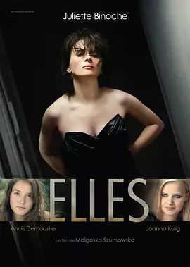 她们 Elles（2011） 海报