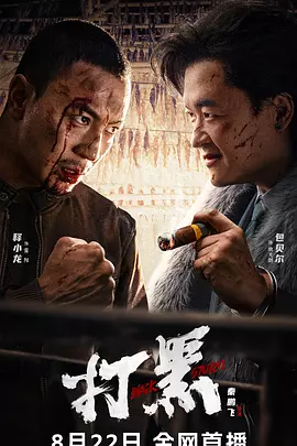 打黑（2024） 海报