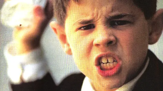 蝴蝶的舌头 La lengua de las mariposas1999剧照1