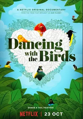 与鸟共舞 Dancing with the Birds（2019） 海报