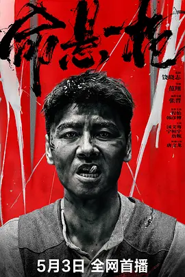 命悬一枪（2025） 海报