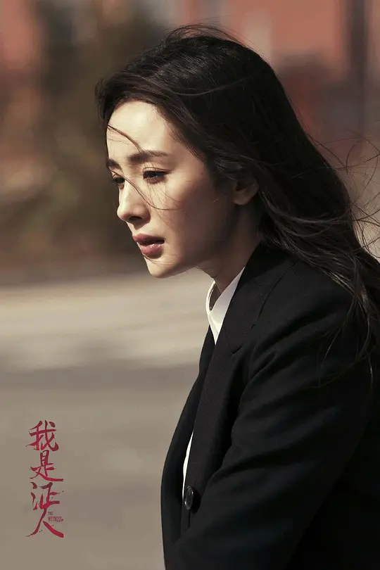 我是证人2015剧照1
