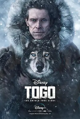 多哥 Togo（2019） 海报