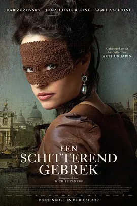 美丽的不完美 Een Schitterend Gebrek（2024） 海报