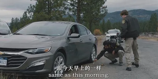 往哪跑2024剧照2