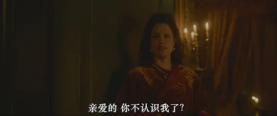 美丽的不完美 Een Schitterend Gebrek2024剧照2