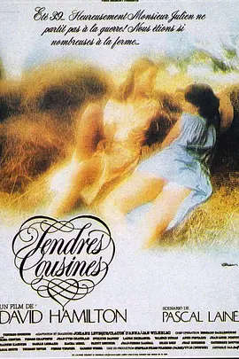 十八岁未嫁时 Tendres cousines（1980） 海报