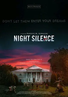寂静之夜 Cisza nocna（2024） 海报