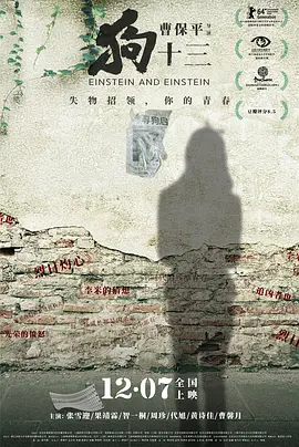 狗十三（2013） 海报