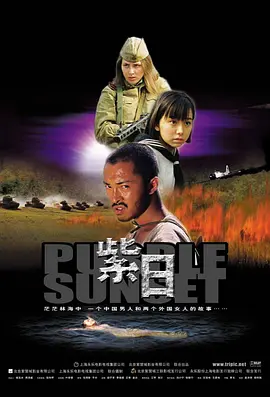 紫日（2001） 海报