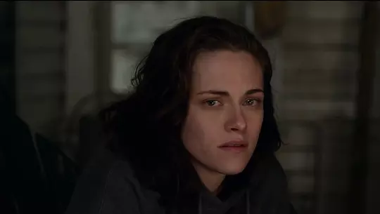 比利·林恩的中场战事 Billy Lynn's Long Halftime Walk2016剧照2