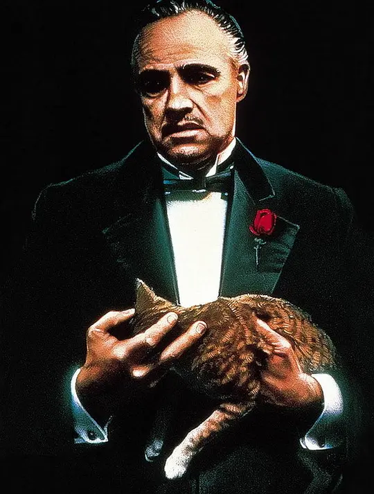 教父 The Godfather1972剧照3