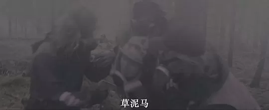 柯拉2023剧照3