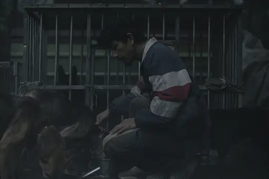 白衣苍狗 白衣蒼狗2024剧照1