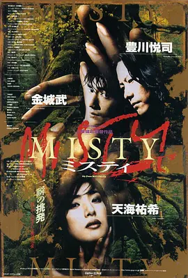 迷雾 Misty（1997） 海报