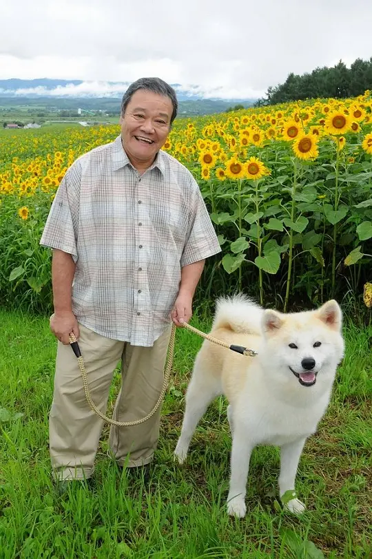 星守之犬 星守る犬2011剧照1