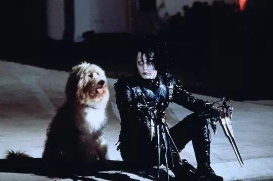 剪刀手爱德华 Edward Scissorhands1990剧照2