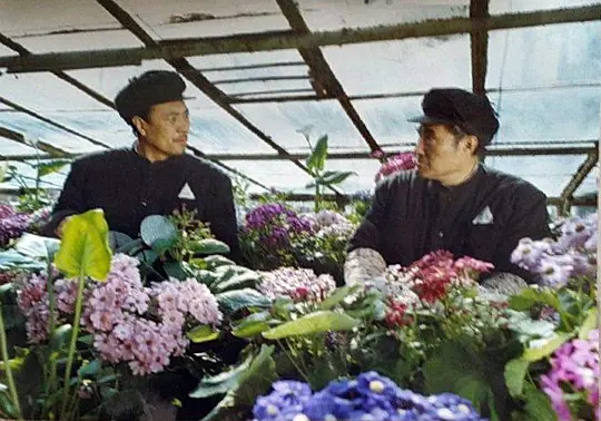 决战之后1991剧照1