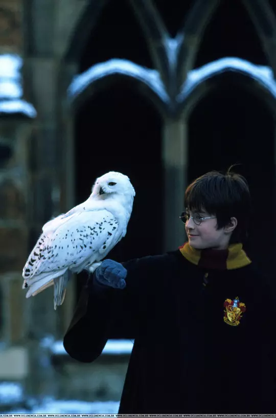 哈利·波特与魔法石 Harry Potter and the Sorcerer's Stone2001剧照3