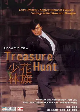 花旗少林（1994） 海报