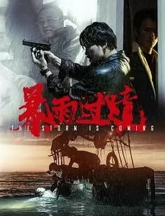 暴雨过境（2023） 海报