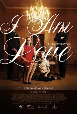 我是爱 Io sono l'amore（2009） 海报
